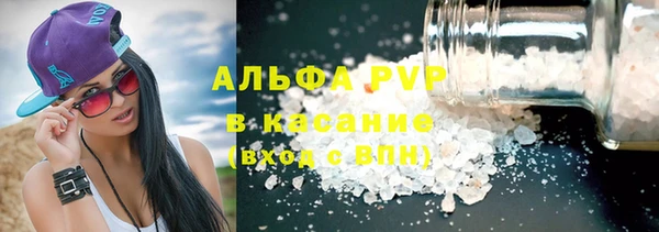 ГАЛЛЮЦИНОГЕННЫЕ ГРИБЫ Дмитриев