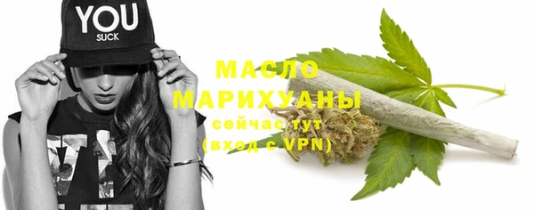 соль ск Новозыбков