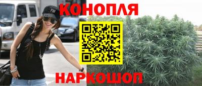 прущие крисы Изобильный