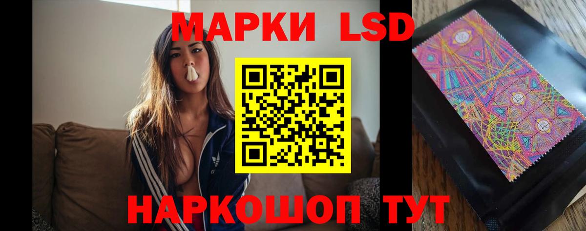 Псилоцибиновые грибы Рузаевка