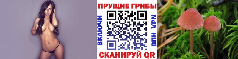 Галлюциногенные грибы ЛСД  купить  цена  MEGA зеркало  Рузаевка 