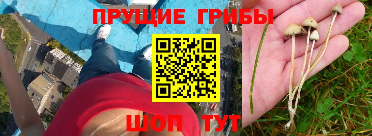 Псилоцибиновые грибы мухоморы Рузаевка