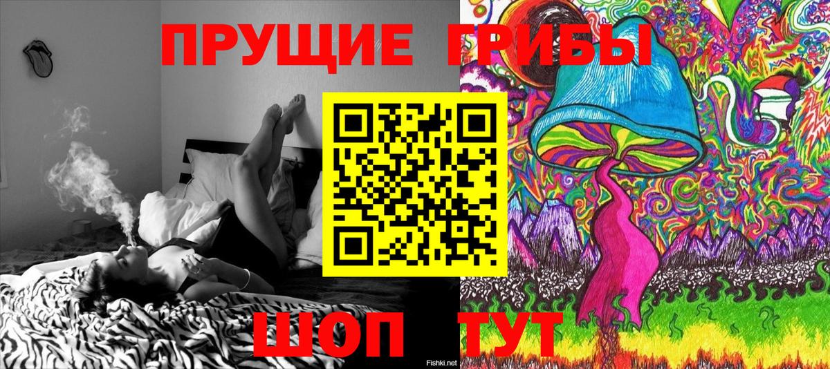 Галлюциногенные грибы Psilocybine cubensis  Вход с VPN  Рузаевка  Галлюциногенные грибы MAGIC MUSHROOMS 
